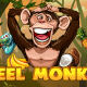 1 Reel Monkey